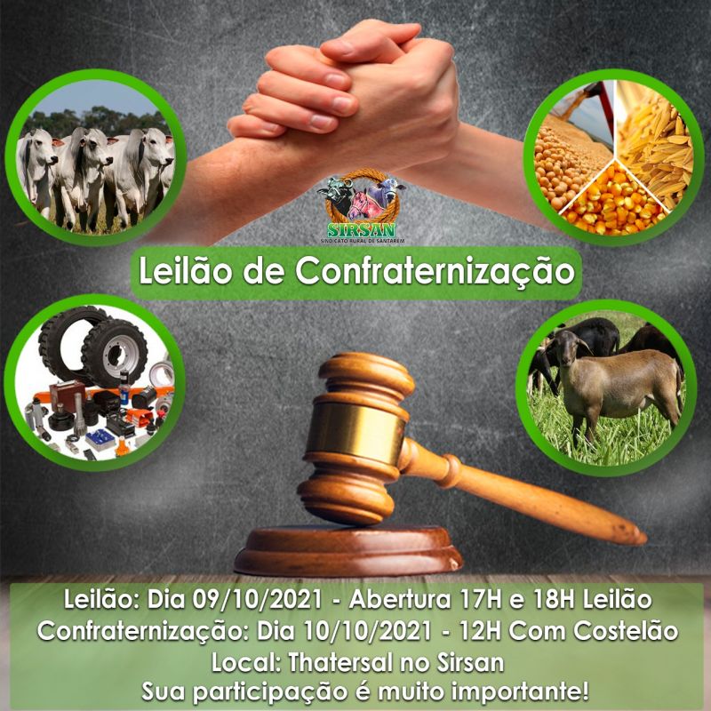 LEILAO DE CONFRATERNIZAÇÃO
